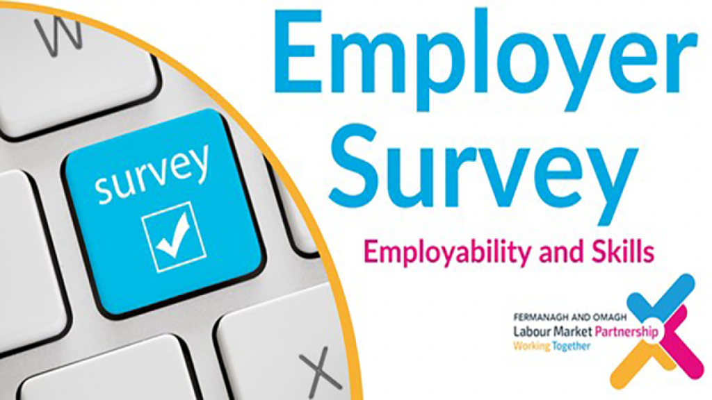 Fermanagh and Omagh employability and skills survey